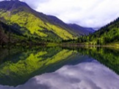 生物老师用自己做繁衍例子：传承智慧，趣味繁衍：探索生物奥秘之旅
