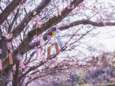 花季传媒黄：追梦青春路，共鸣理想心-3