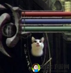 《恶魔之魂：重制版》的猫咪照片消失，玩家情绪激动